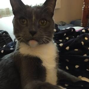 Meet your Posher, Barbara